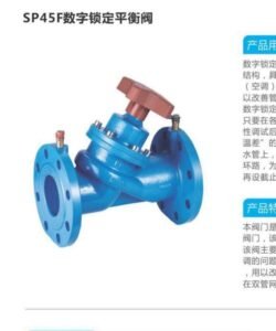 SP45F Digital Balancing Valve